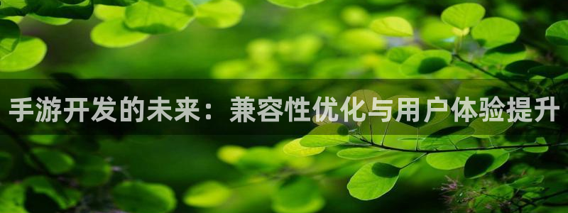 如何玩庄闲：手游开发的未来：兼容性优化与用户体验提升