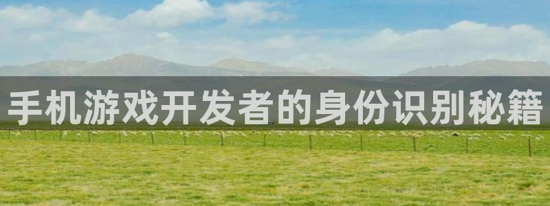 庄闲游戏官网入口：手机游戏开发者的身份识别秘籍
