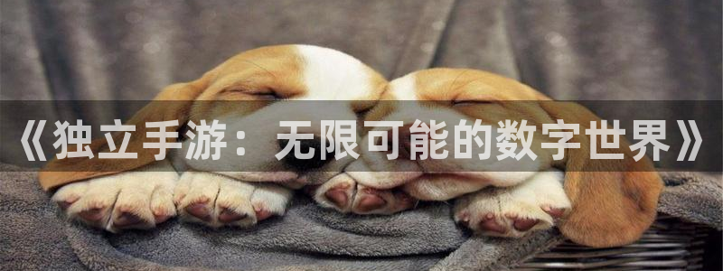 庄闲玩法幸运6：《独立手游：无限可能的数字世界》