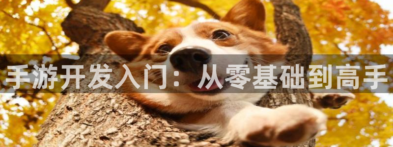 庄闲游戏规律