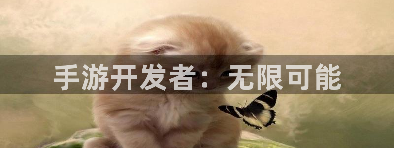 庄闲怎么赢