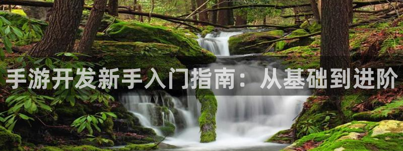 庄闲游戏论坛 55.31MB：手游开发新手入门指南：从基础到