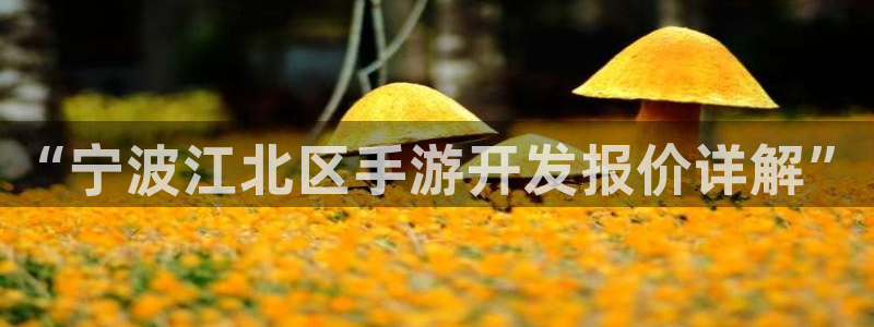 庄闲游戏兑换不到帐：“宁波江北区手游开发报价详解”