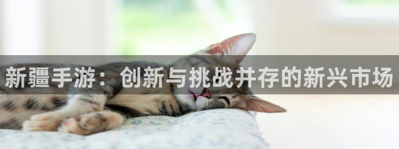 庄闲是什么赌法：新疆手游：创新与挑战并存的新兴市场