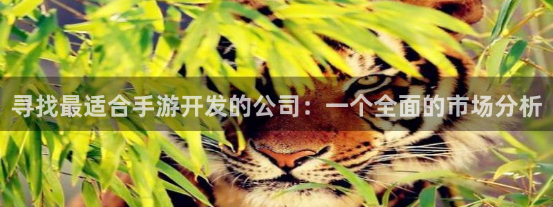 庄闲玩法规则详解：寻找最适合手游开发的公司：一个全面的市场分