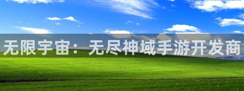 庄闲教程：无限宇宙：无尽神域手游开发商