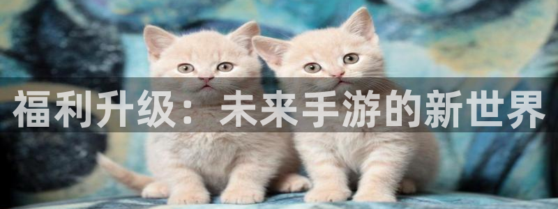 庄闲游戏在哪：福利升级：未来手游的新世界