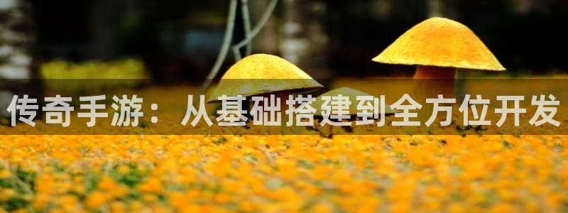 庄闲玩法补牌规则：传奇手游：从基础搭建到全方位开发