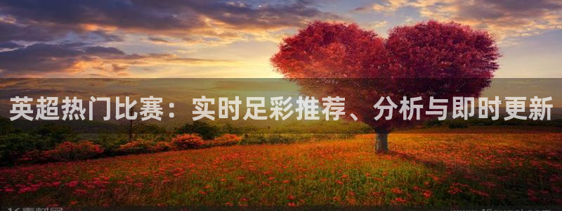 小九体育直播足球：英超热门比赛：实时足彩推荐、分析与即时更新