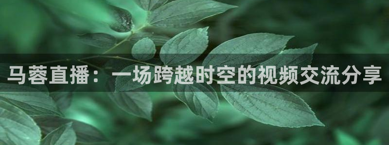 小九直播在线观看：马蓉直播：一场跨越时空的视频交流分享