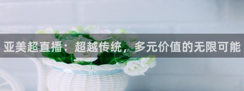 小九直播乐悠足球免费观看：亚美超直播：超越传统，多元价值的无限可能