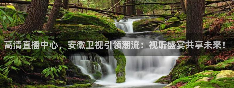 nba赛程直播在线观看视频小九：高清直播中心，安徽卫视引领潮流：视听盛宴共享未来！