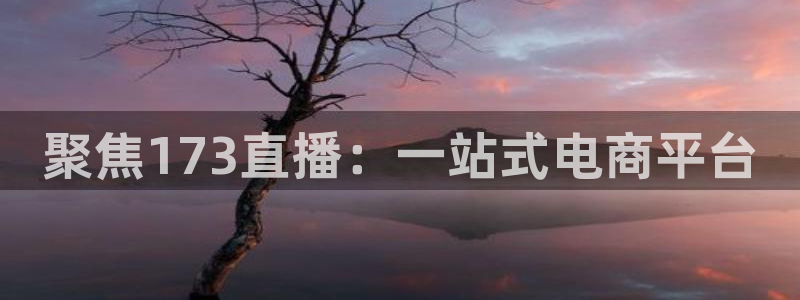小九直播nba免费观看：聚焦173直播：一站式电商平台