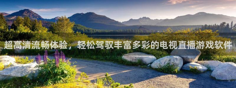 nba直播免费观看直播在线小九：超高清流畅体验，轻松驾驭丰富多彩的电视直播游戏软件