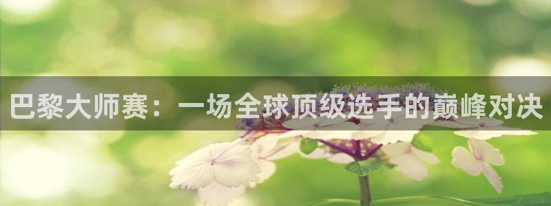 小九nba直播高清免费观看：巴黎大师赛：一场全球顶级选手的巅峰对决