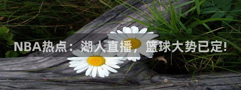 小九篮球直播在线观看：NBA热点：湖人直播，篮球大势已定!