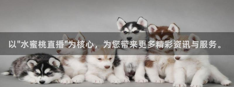 nba直播免费直播小九：以\