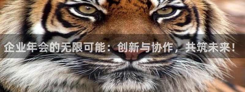 小九直播足球在线直播：企业年会的无限可能：创新与协作，共筑未来！